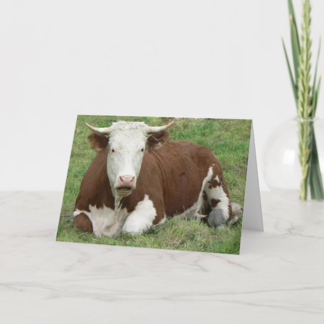Cartes Pour Fêtes Annuelles Vache Qu'est-ce que toute la lune sur l'amitié, ZK (Devant)
