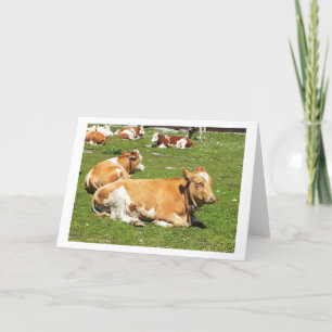 Cartes Pour Fêtes Annuelles Vaches alpines en Autriche