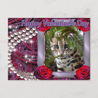 Cartes Pour Fêtes Annuelles val-bengal-cat-00073-6x4