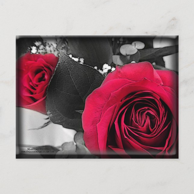 Cartes Pour Fêtes Annuelles Valentine (Devant)