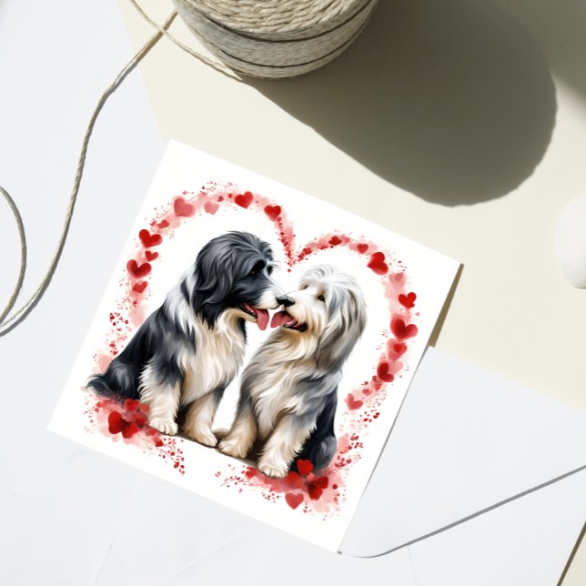 Cartes Pour Fêtes Annuelles Valentine Beared Collie Amour amoureux (Créateur téléchargé)