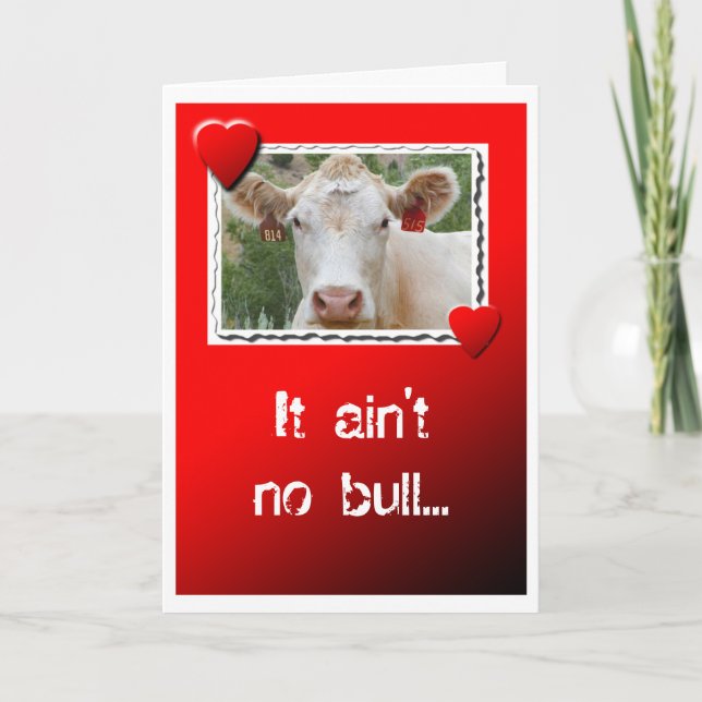 Cartes Pour Fêtes Annuelles Valentine Cow (Devant)