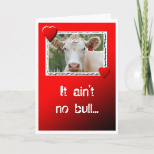 Cartes Pour Fêtes Annuelles Valentine Cow