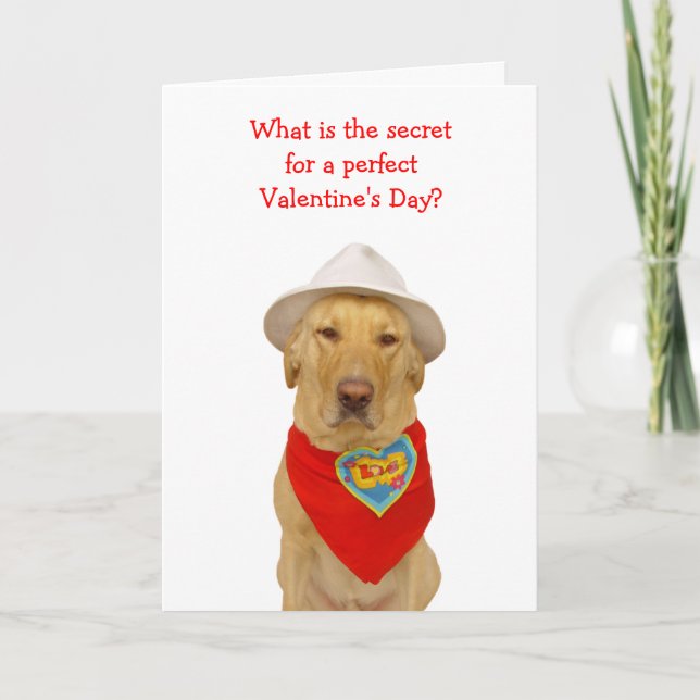 Cartes Pour Fêtes Annuelles Valentine de Funny (Devant)