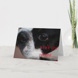 Cartes Pour Fêtes Annuelles Valentine de terrier de Boston