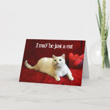 Valentine du chat