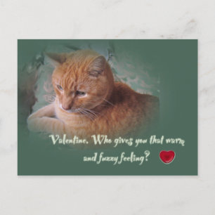 Cartes Pour Fêtes Annuelles Valentine du chat