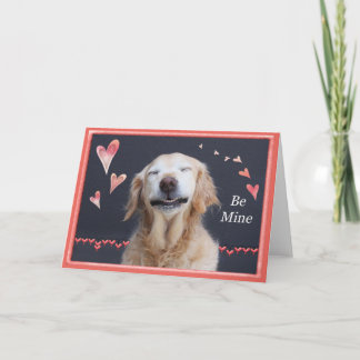 Cartes Pour Fêtes Annuelles Valentine Golden Retriever