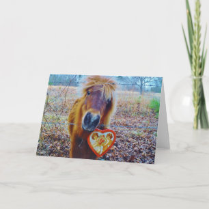 Cartes Pour Fêtes Annuelles Valentine Heart Horse
