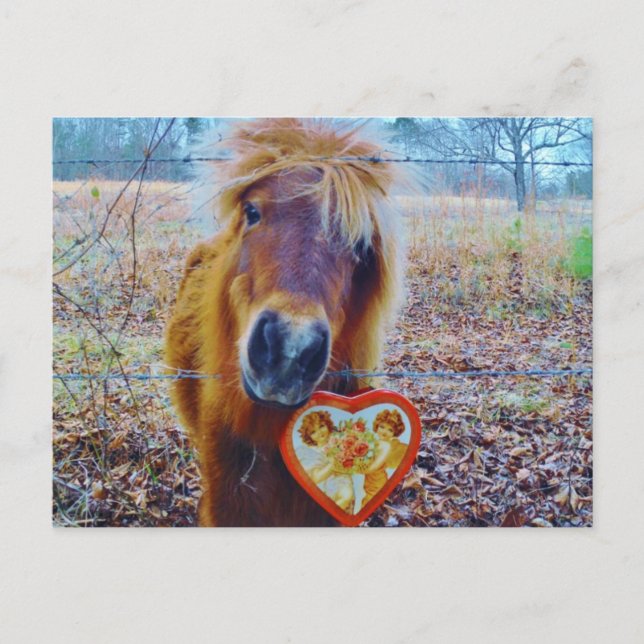 Cartes Pour Fêtes Annuelles Valentine Heart Horse (Devant)