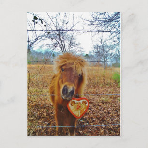 Cartes Pour Fêtes Annuelles Valentine Heart Miniature Brown Horse