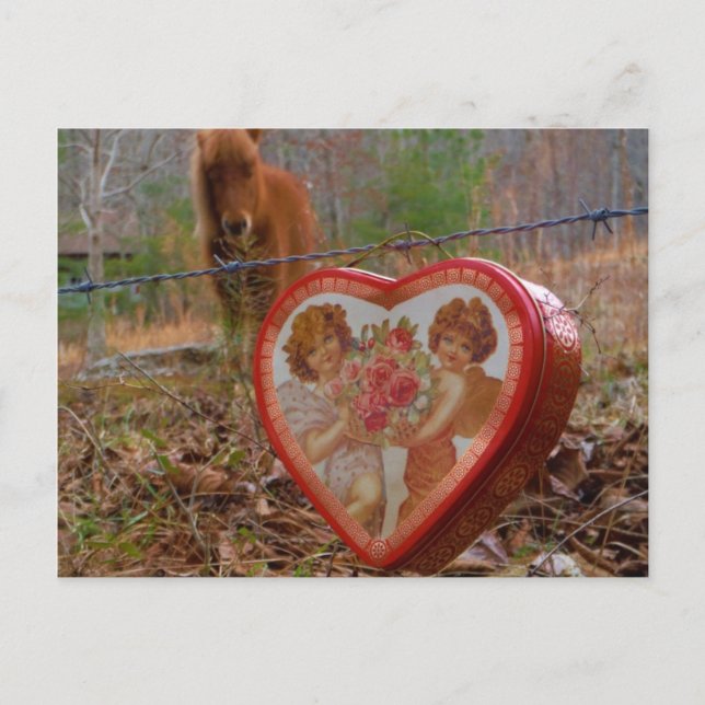 Cartes Pour Fêtes Annuelles Valentine Heart Miniature Brown Horse (Devant)