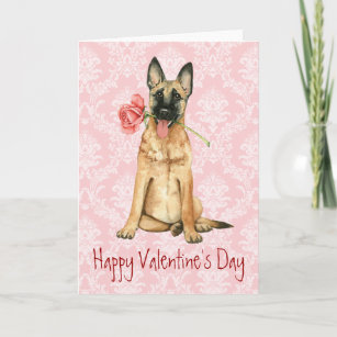 Cartes De Vœux Chien Belge Malinois Zazzle Fr