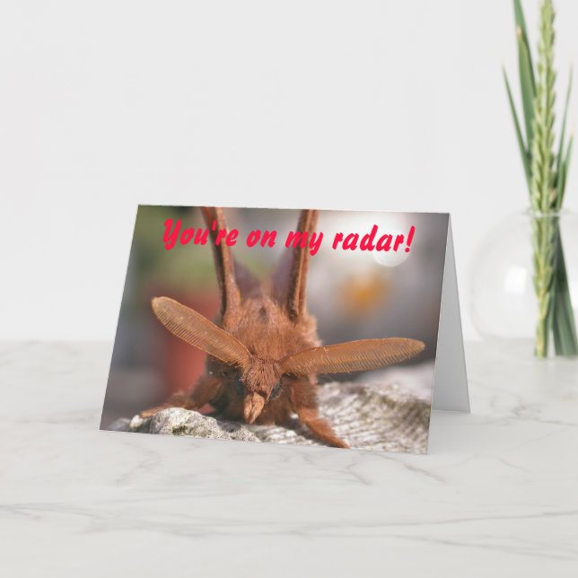 Cartes Pour Fêtes Annuelles Valentine Moth Antennae : Vous êtes sur mon radar  (Devant)