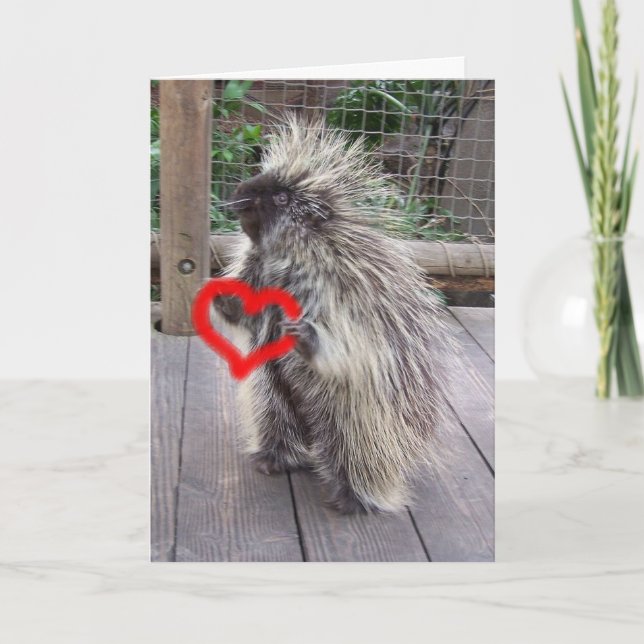 Cartes Pour Fêtes Annuelles Valentine Porcupine (Devant)