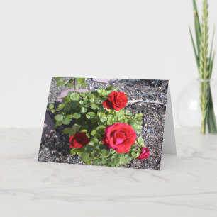 Cartes Pour Fêtes Annuelles Valentine pour un mari ou une femme courbé