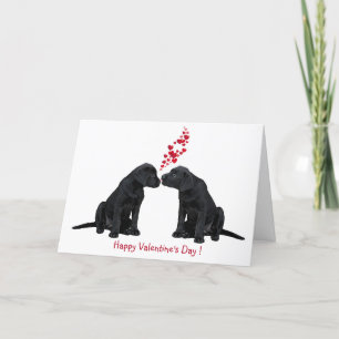 Cartes Pour Fêtes Annuelles Valentine Puppy - Black Lab
