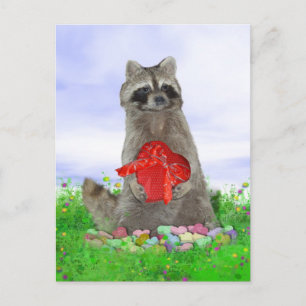Cartes Pour Fêtes Annuelles Valentine Raccoon Bandit