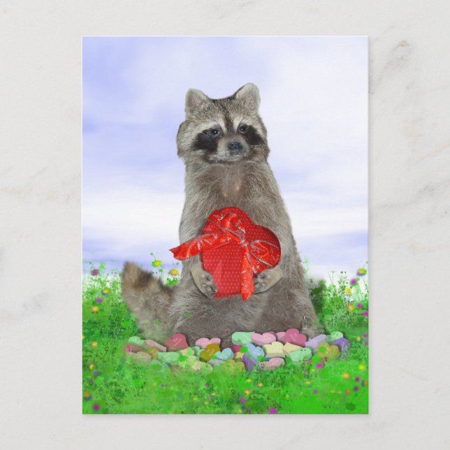 Cartes Pour Fêtes Annuelles Valentine Raccoon Bandit (Devant)