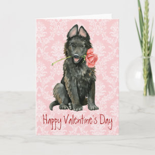 Cartes Pour Fêtes Annuelles Valentine Rose Belge Sheepdog