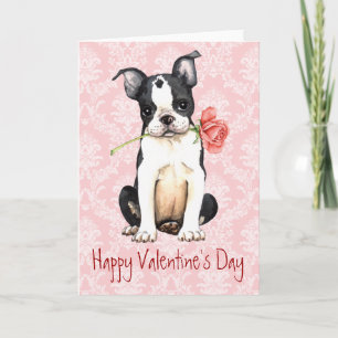 Cartes Pour Fêtes Annuelles Valentine Rose Boston Terrier