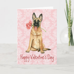 Cartes Pour Fêtes Annuelles Valentine Rose Malinois