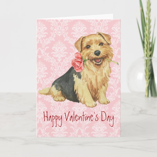 Cartes Pour Fêtes Annuelles Valentine Rose Norfolk Terrier (Devant)