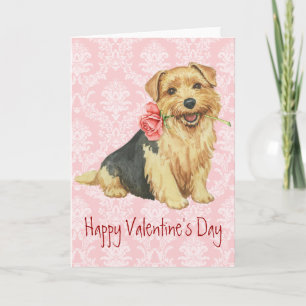 Cartes Pour Fêtes Annuelles Valentine Rose Norfolk Terrier