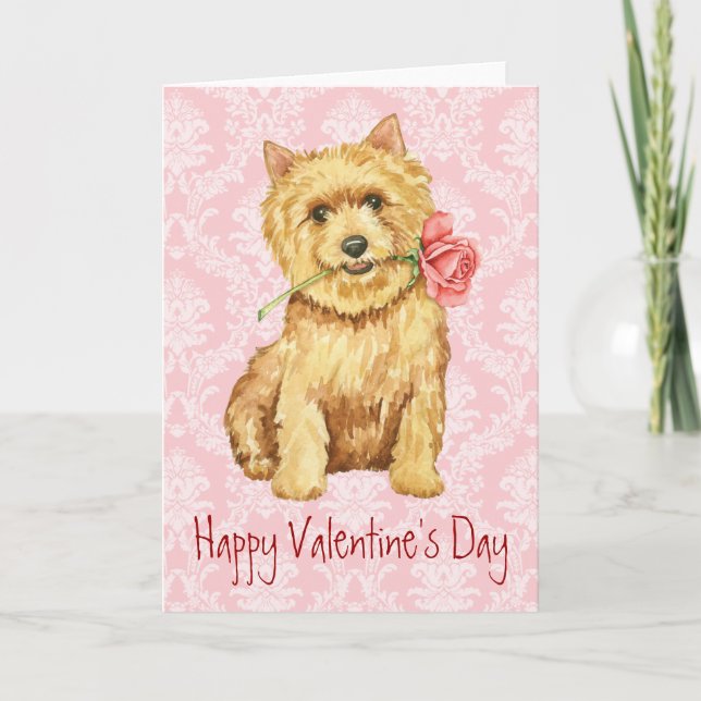 Cartes Pour Fêtes Annuelles Valentine Rose Norwich Terrier (Devant)