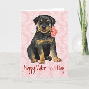 Cartes Pour Fêtes Annuelles Valentine Rose Rottweiler