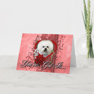 Cartes Pour Fêtes Annuelles Valentines