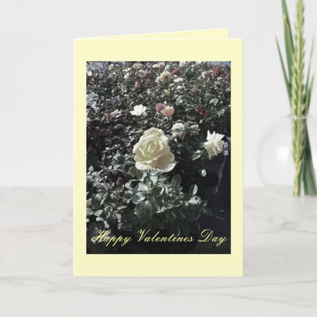 Cartes Pour Fêtes Annuelles Valentines (Devant)