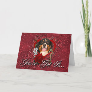 Cartes Pour Fêtes Annuelles Valentines - clé à mon coeur - chien de montagne