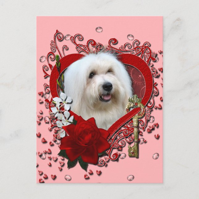 Cartes Pour Fêtes Annuelles Valentines - clé à mon coeur - coton de Tulear (Devant)