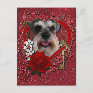 Cartes Pour Fêtes Annuelles Valentines - clé à mon coeur - Schnauzer