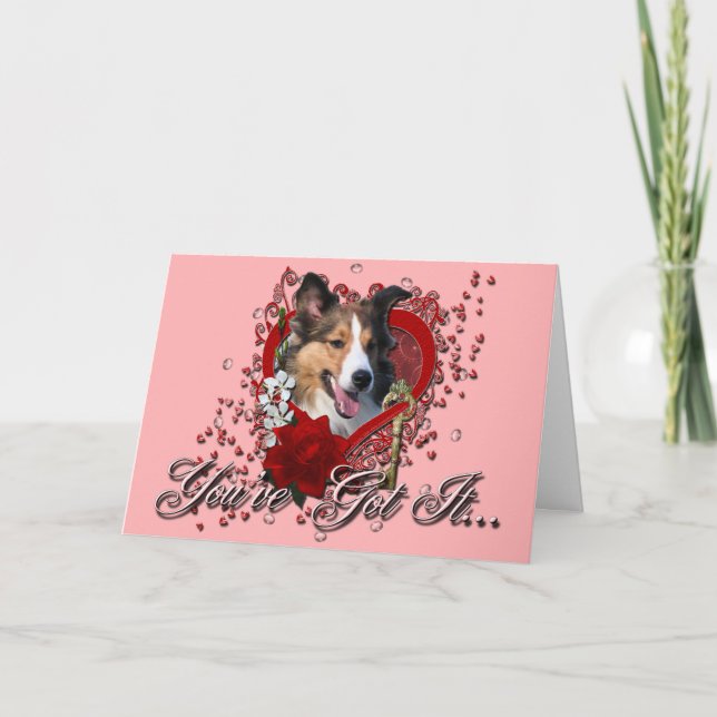 Cartes Pour Fêtes Annuelles Valentines - clé à mon coeur - Sheltie (Devant)