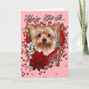 Cartes Pour Fêtes Annuelles Valentines - clé à mon coeur - Yorkshire Terrier