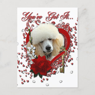 Cartes Pour Fêtes Annuelles Valentines - Clé de mon coeur - Poodle - Apricot