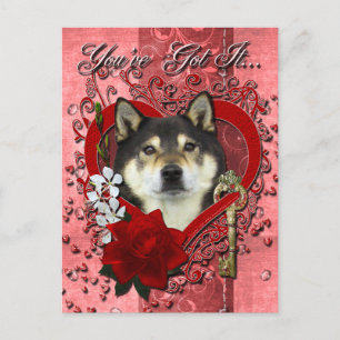 Cartes Pour Fêtes Annuelles Valentines - Clé de mon coeur - Shiba Inu - Yasha