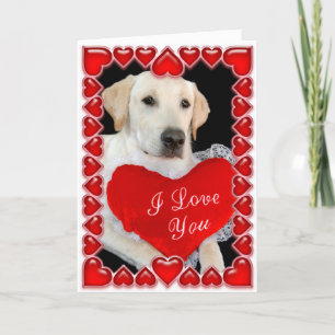 Cartes Pour Fêtes Annuelles Valentine's Day Dog Card