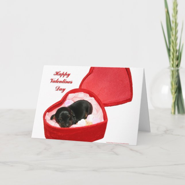 Cartes Pour Fêtes Annuelles Valentines Day Doxie (Devant)