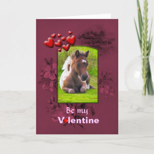 Cartes Pour Fêtes Annuelles Valentines Day, Kneeling Dartmoor Pony Foy