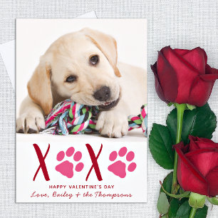 Cartes Pour Fêtes Annuelles Valentines Day XOXO Cute Pet Puppy Dog Photo