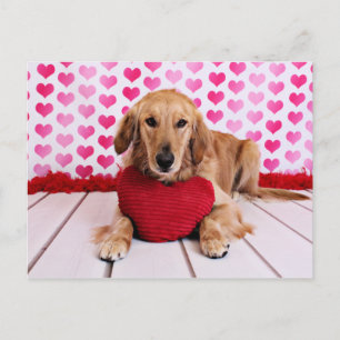 Cartes Pour Fêtes Annuelles Valentines - Golden Retriever - JJ