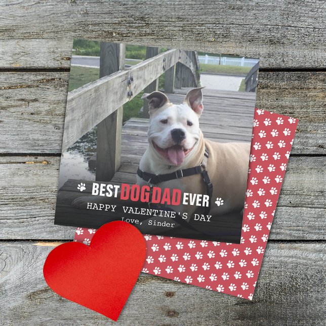 Cartes Pour Fêtes Annuelles Valentines Jour Du Chien Photo Appartement (Valentines Day From The Dog Photo Flat Holiday Card)