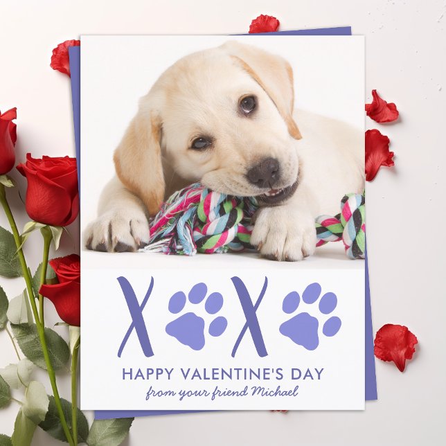 Cartes Pour Fêtes Annuelles Valentines Jour Mignonne Chien Animal de compagnie (Créateur téléchargé)