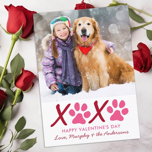 Cartes Pour Fêtes Annuelles Valentines Jour XOXO Chien Chien Moderne Photo Ani (Créateur téléchargé)