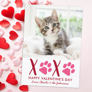 Cartes Pour Fêtes Annuelles Valentines Jour XOXO Cute Kitten Pet Cat Photo
