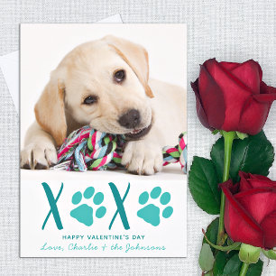 Cartes Pour Fêtes Annuelles Valentines Jour XOXO mignonne Chien Chien