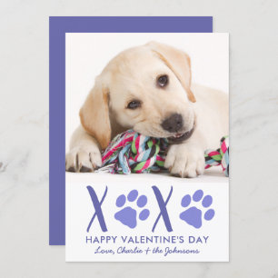 Cartes Pour Fêtes Annuelles Valentines Jour XOXO mignonne Chien Chien Chien An
